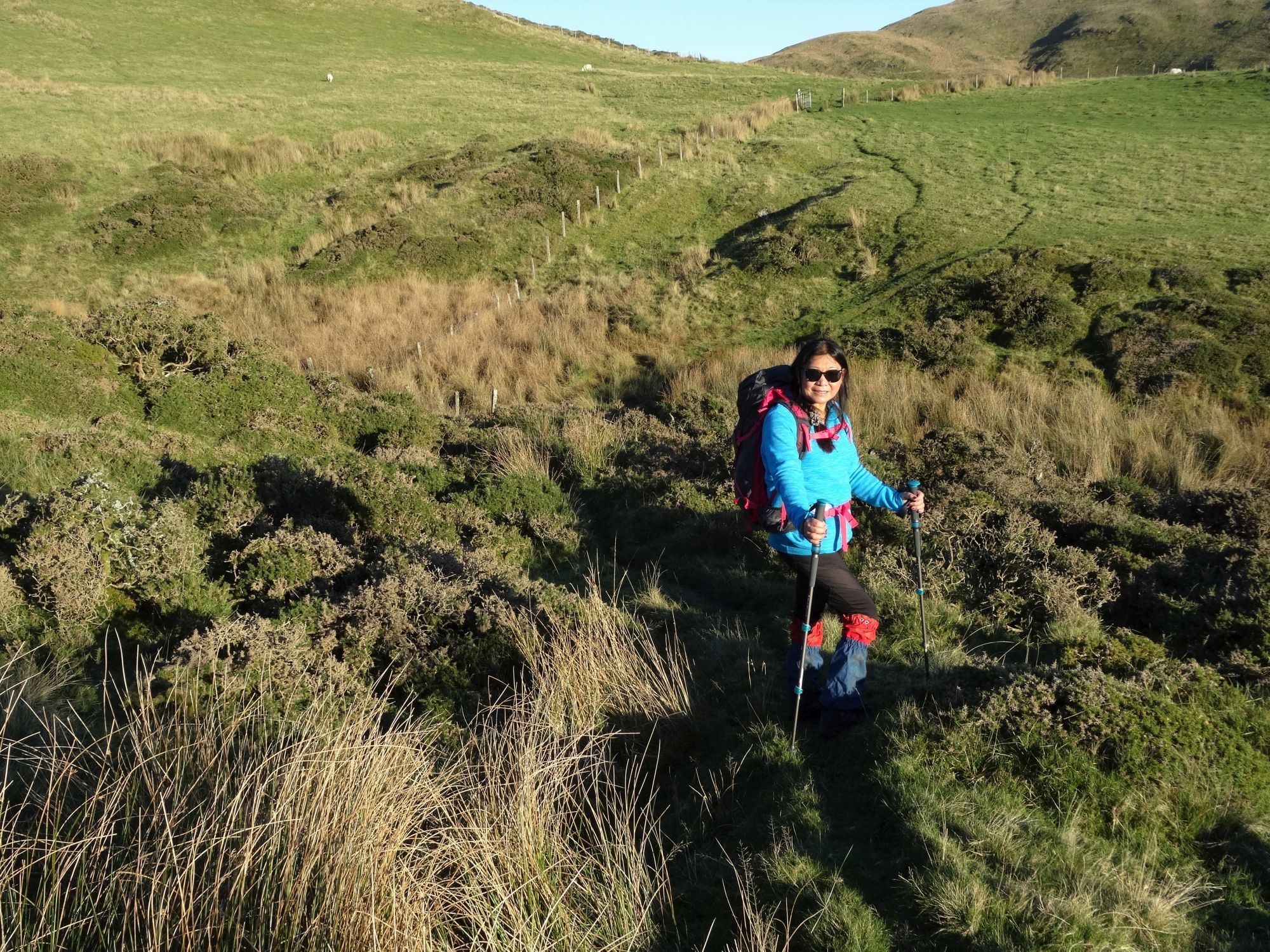 RachelSeabrook.net | Wild Walking | Moel y Llyn | pic11